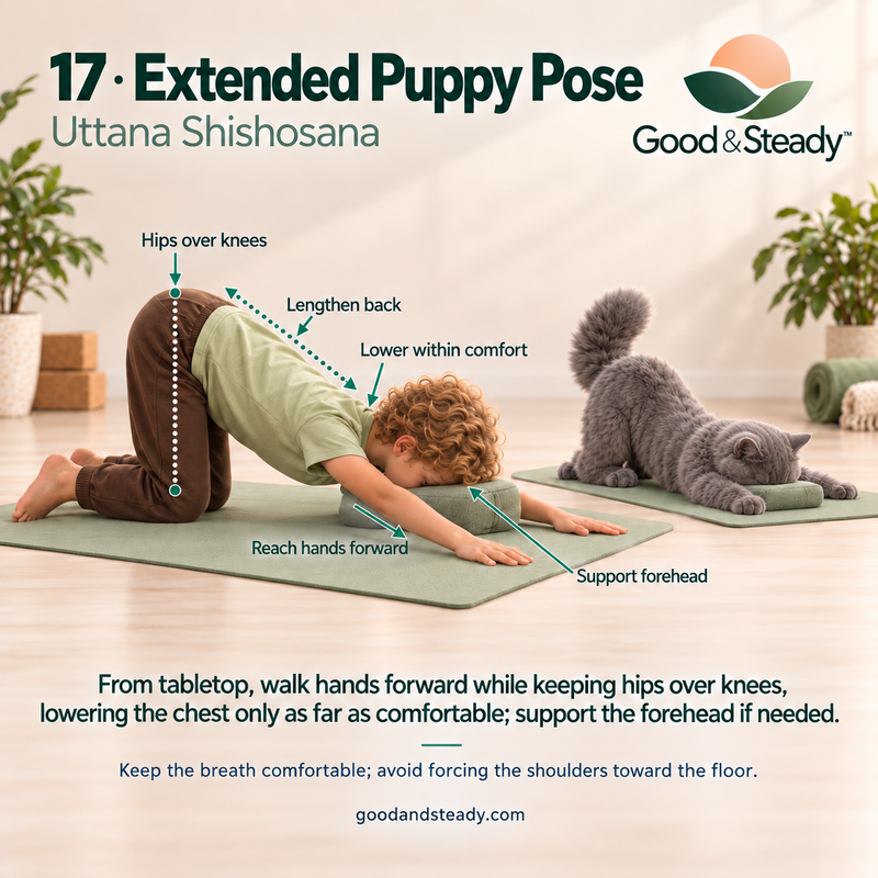 Rick and Kuzya illustrate Extended Puppy Pose.