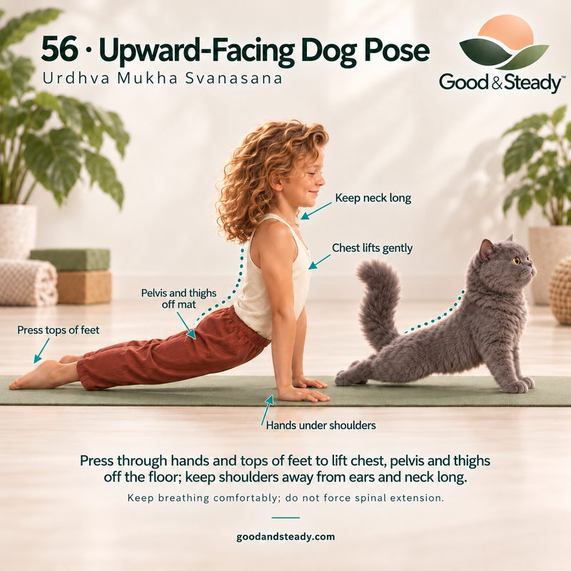 Rick and Kuzya illustrate Upward-Facing Dog Pose.