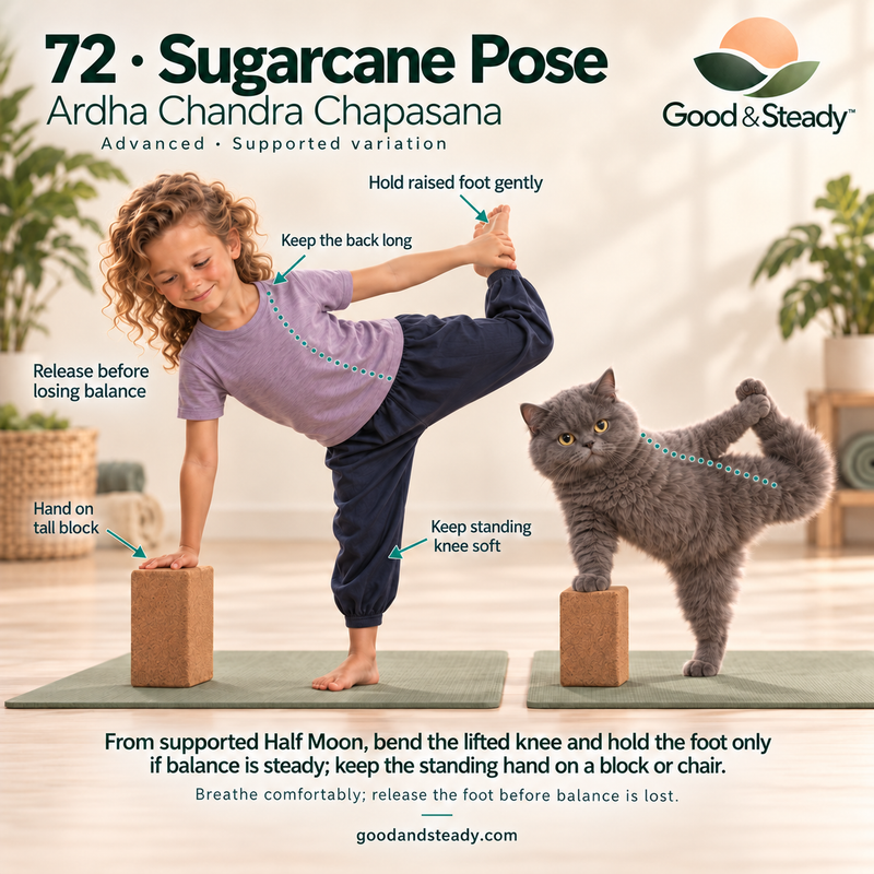 Rick and Kuzya illustrate Sugarcane Pose. Illustrated variation: Advanced · Supported variation.