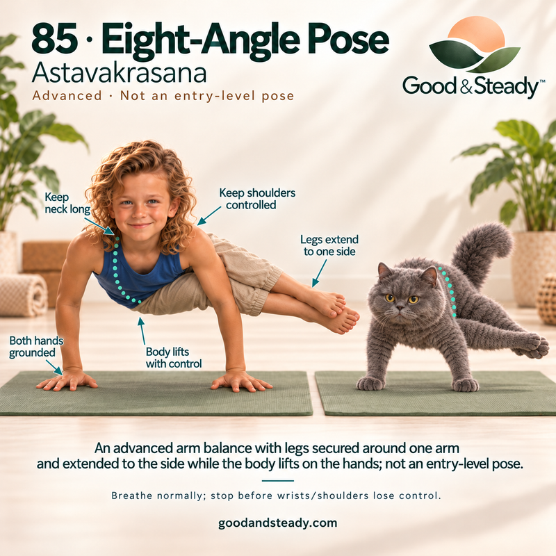 Rick and Kuzya illustrate Eight-Angle Pose. Illustrated variation: Advanced · Not an entry-level pose.